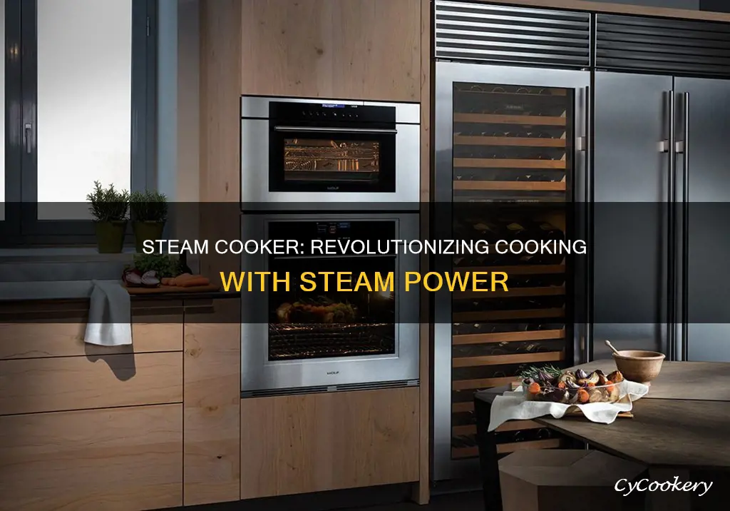 what is a steam cooker