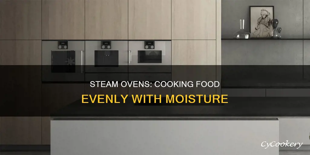 what is a steam oven used for in cooking