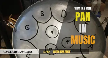 Steel Pan: Musical Instrument Originating in Trinidad and Tobago