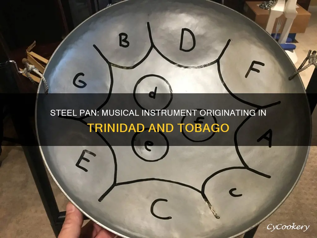 what is a steel pan in music