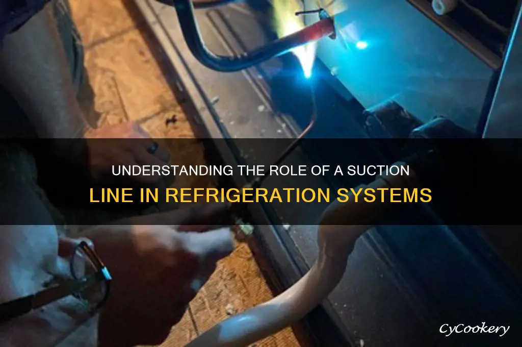 what is a suction line in refrigeration