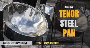 The Tenor Steel Pan: Musical Magic