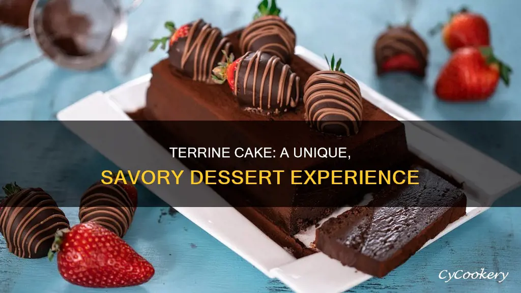 what is a terrine cake