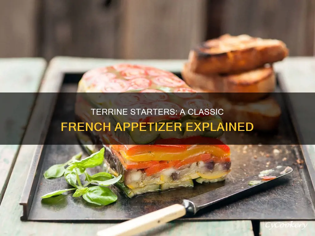 what is a terrine starter