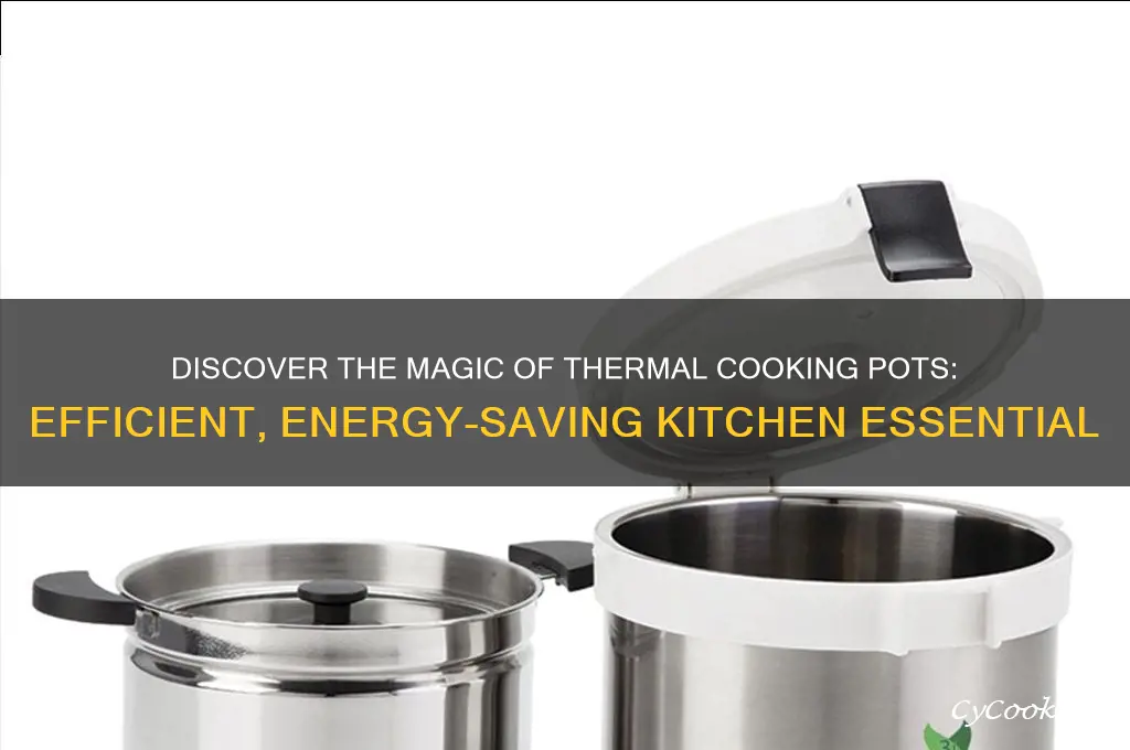 what is a thermal cooking pot
