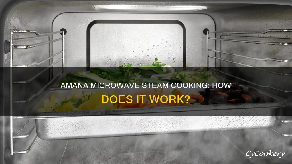 what is amana microwave steam cooking