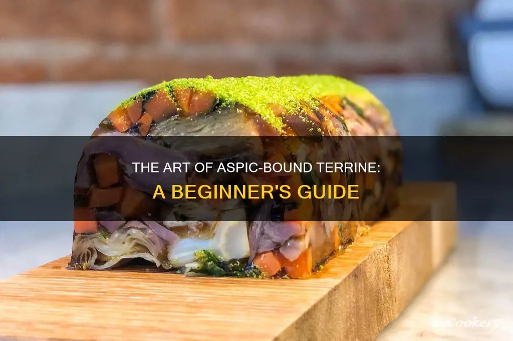 what is an aspic bound terrine