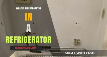 Understanding the Role of an Evaporator in Your Refrigerator
