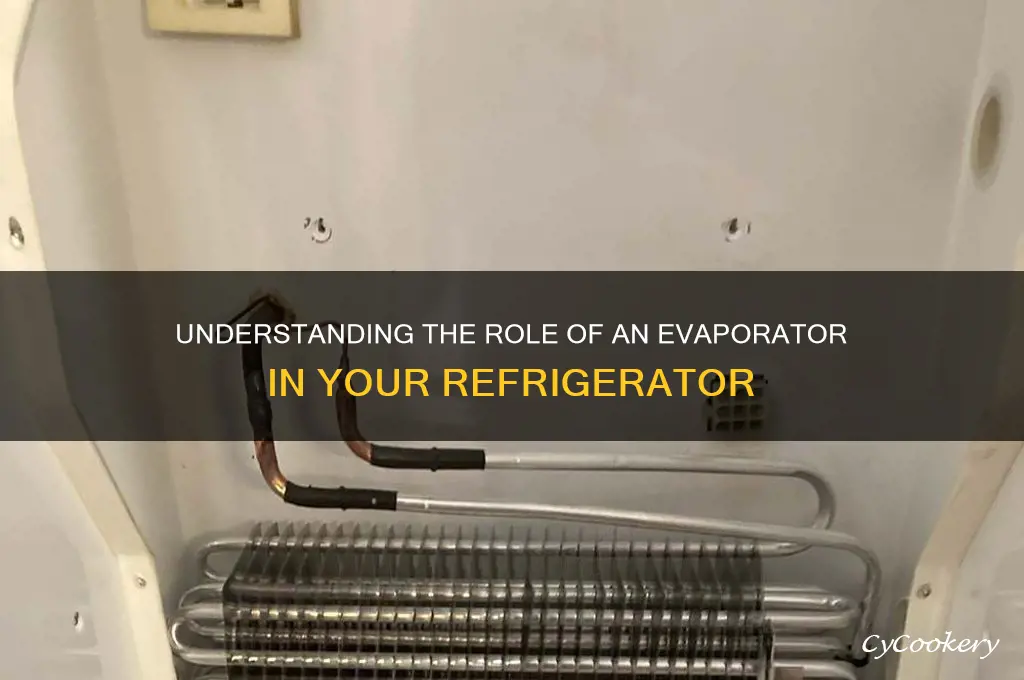 what is an evaporator in a refrigerator