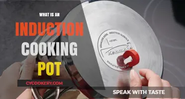Understanding Induction Cooking Pots: Benefits, Features, and How They Work