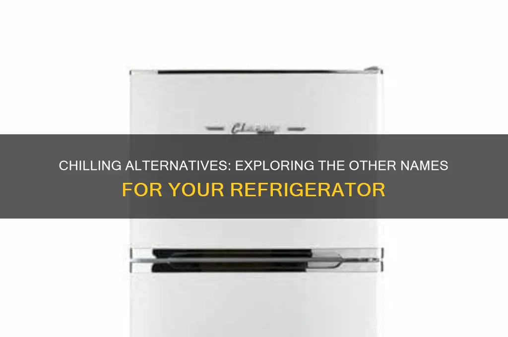 what is another name for a refrigerator