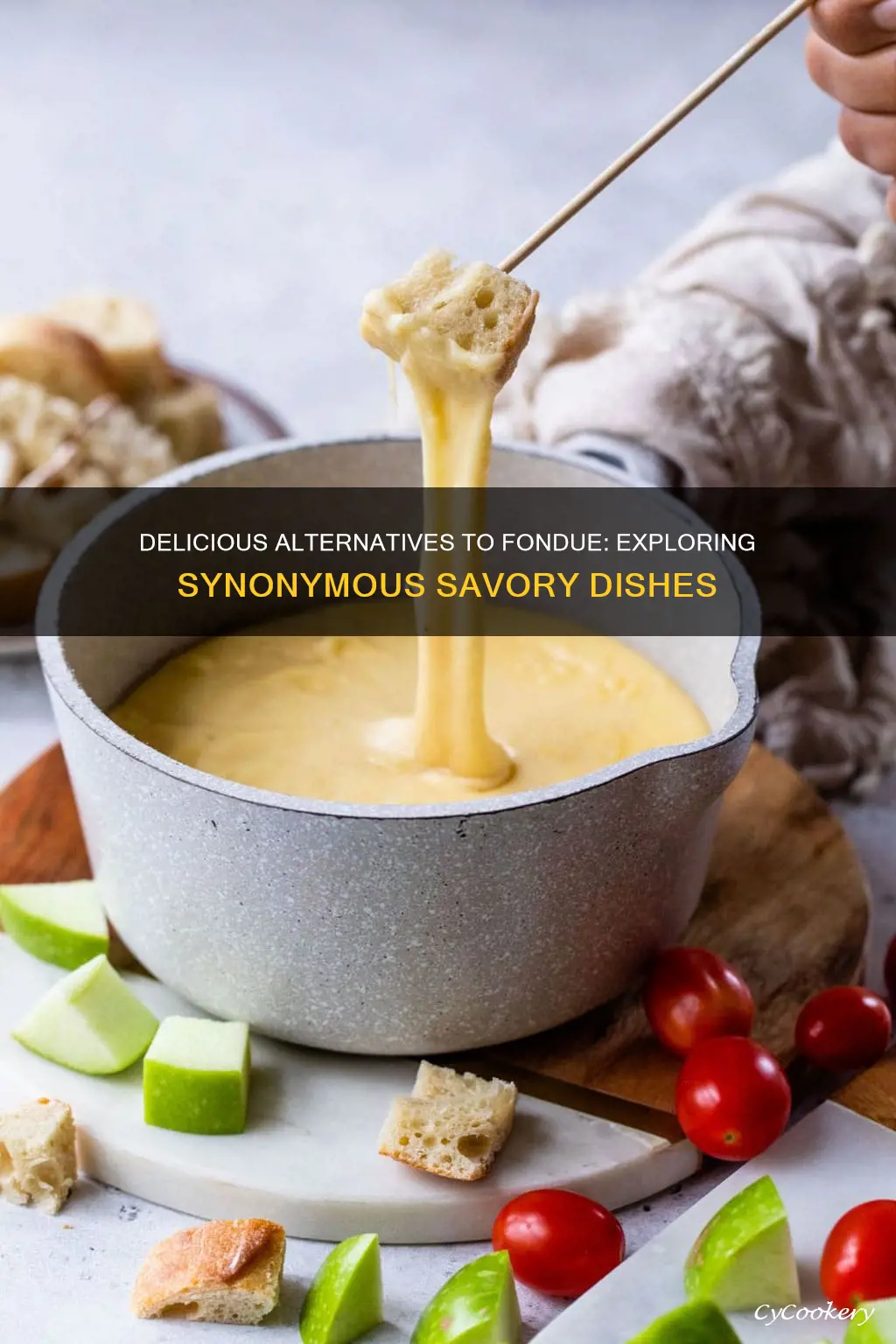 what is another word for fondue