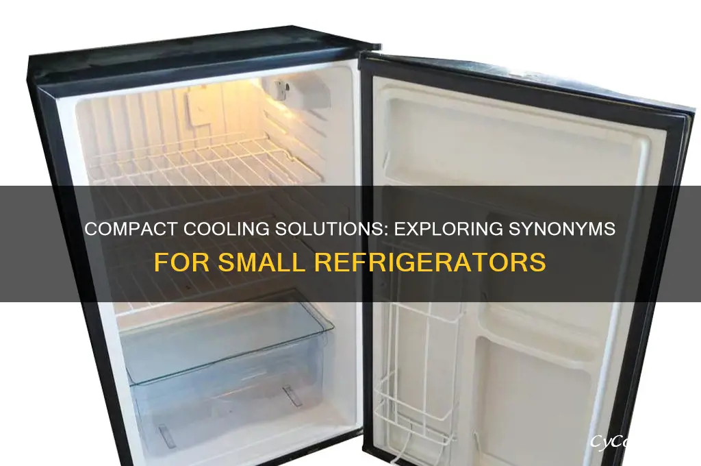 what is another word for small refrigerator