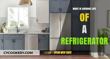 Understanding the Typical Lifespan of Your Refrigerator: A Comprehensive Guide