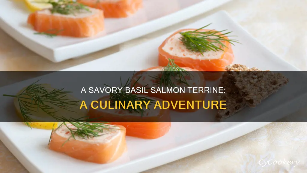 what is basil salmon terrine