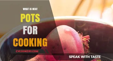 Discover the Best Beat Pots for Efficient and Flavorful Cooking