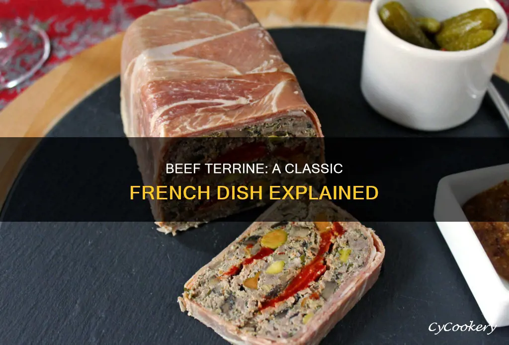 what is beef terrine