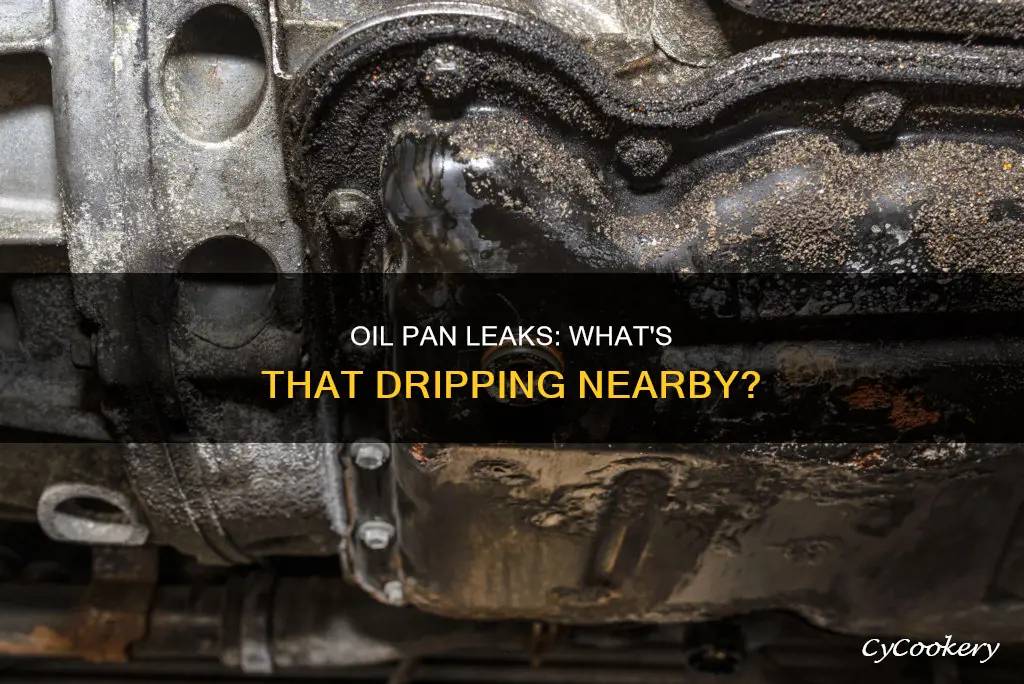 what is beside the oil pan that leaks