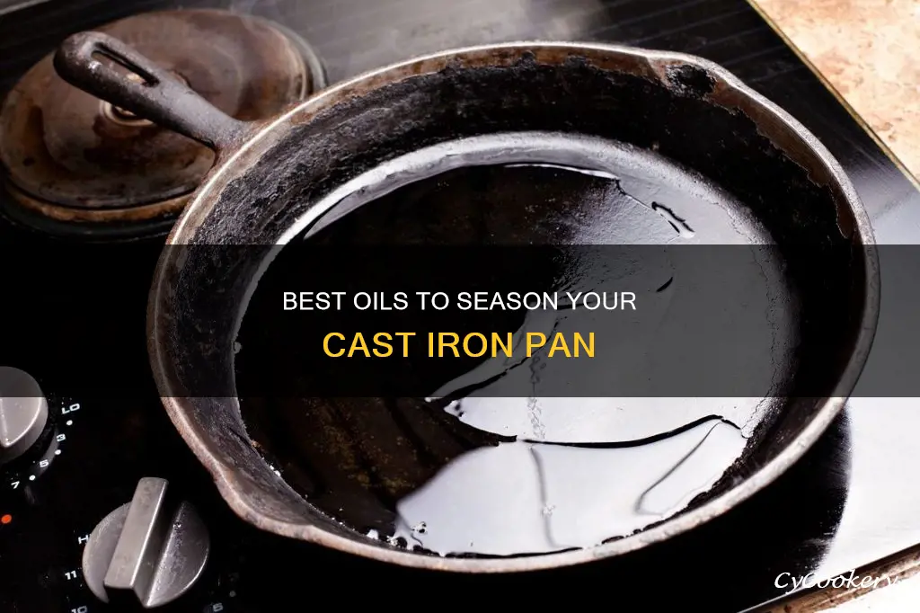 what is best oil to season cast iron pan