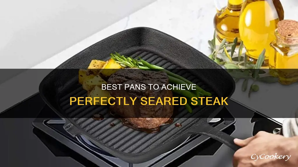 what is best pan to sear steak