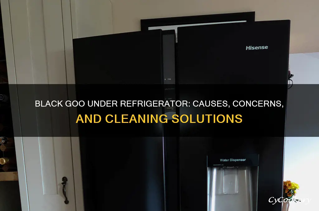 what is black goo under my refrigerator