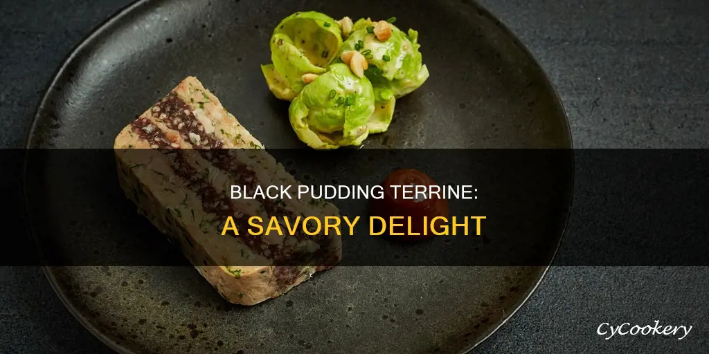 what is black pudding terrine