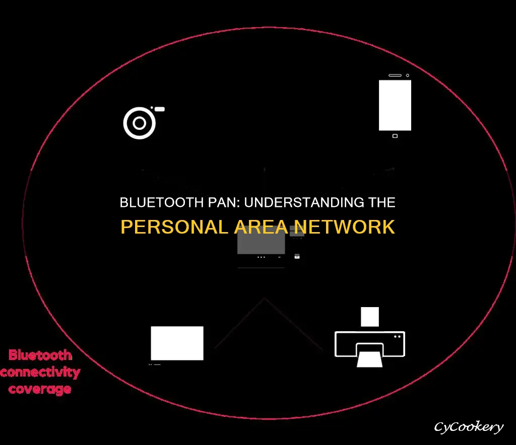 what is bluetooth pan