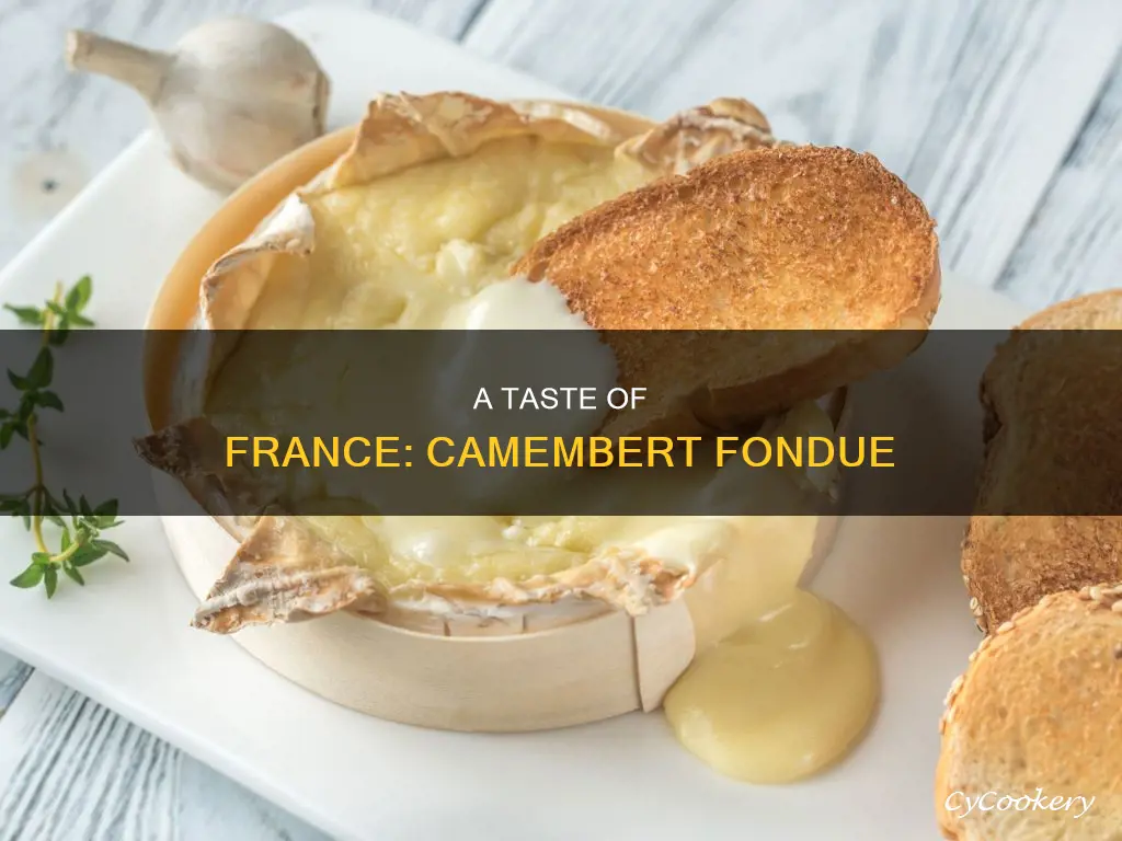 what is camembert fondue