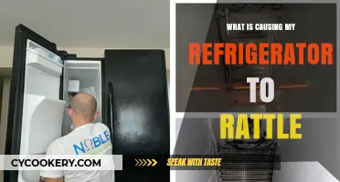 Why Is My Refrigerator Rattling? Common Causes and Quick Fixes