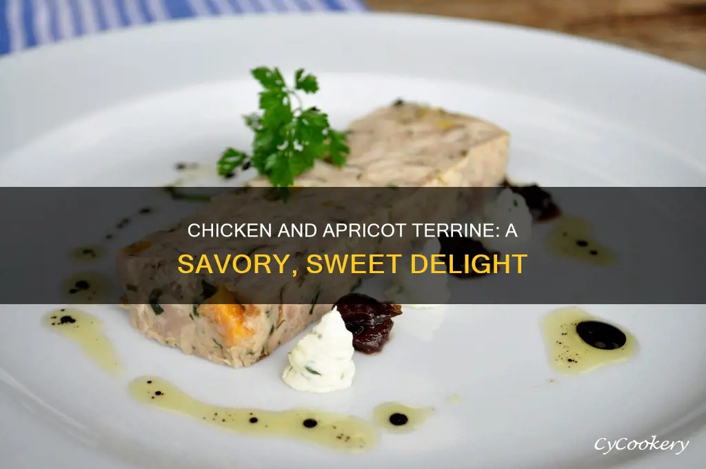 what is chicken and apricot terrine