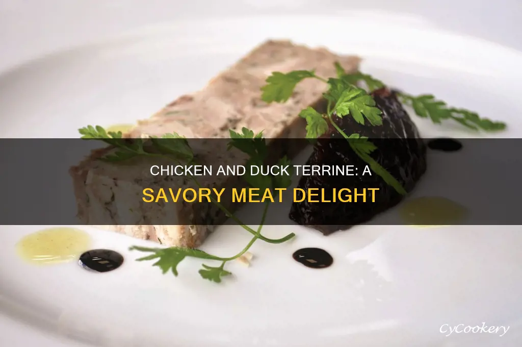 what is chicken and duck terrine