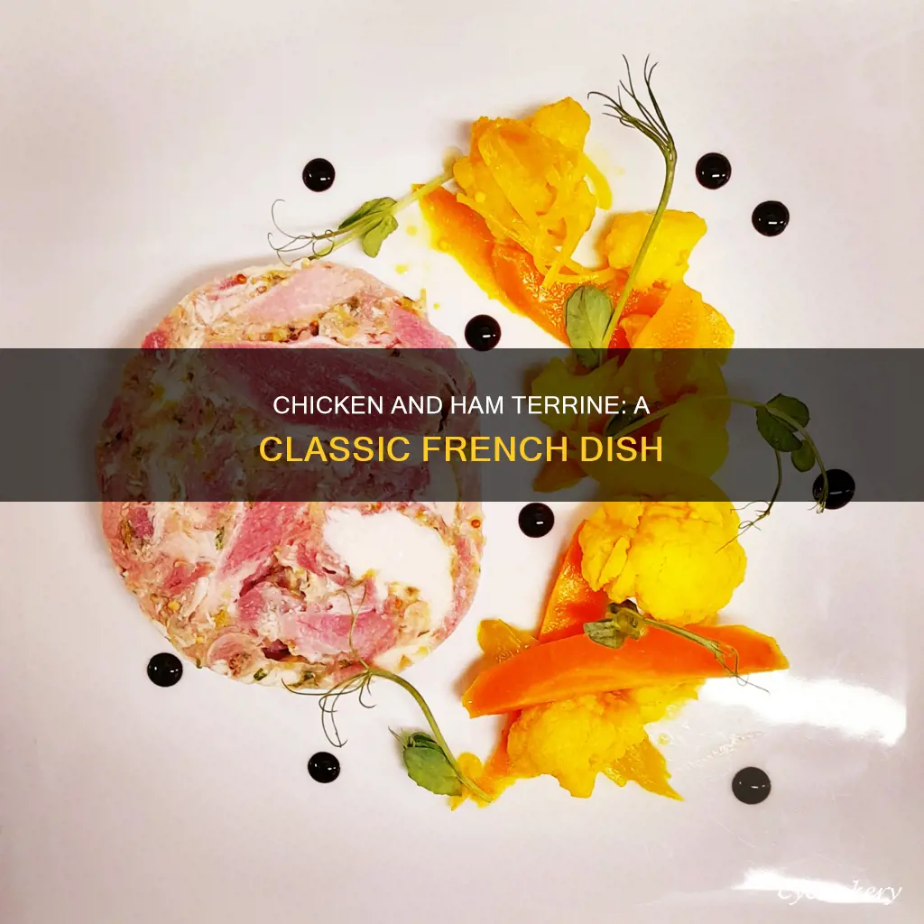 what is chicken and ham terrine