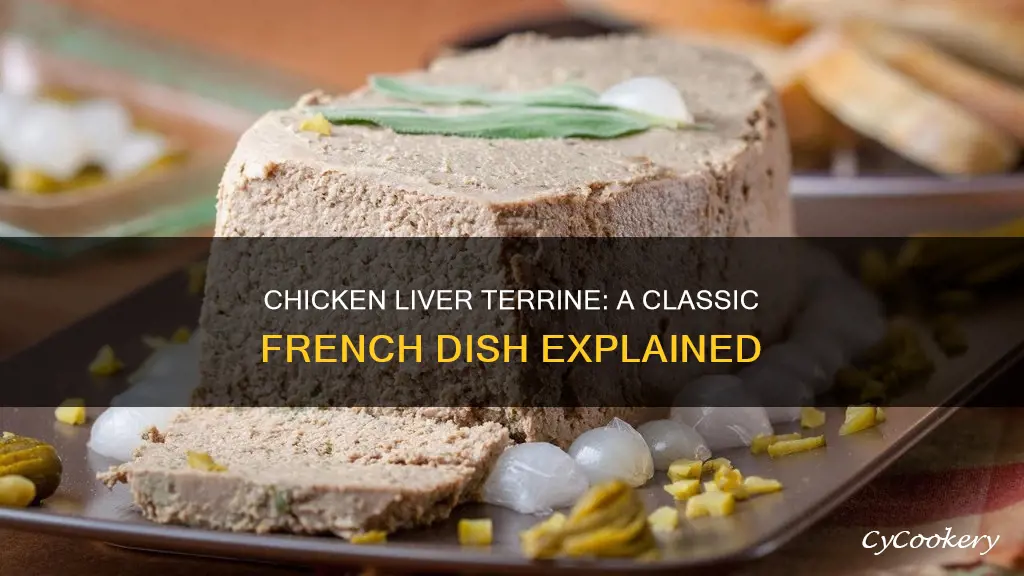 what is chicken liver terrine