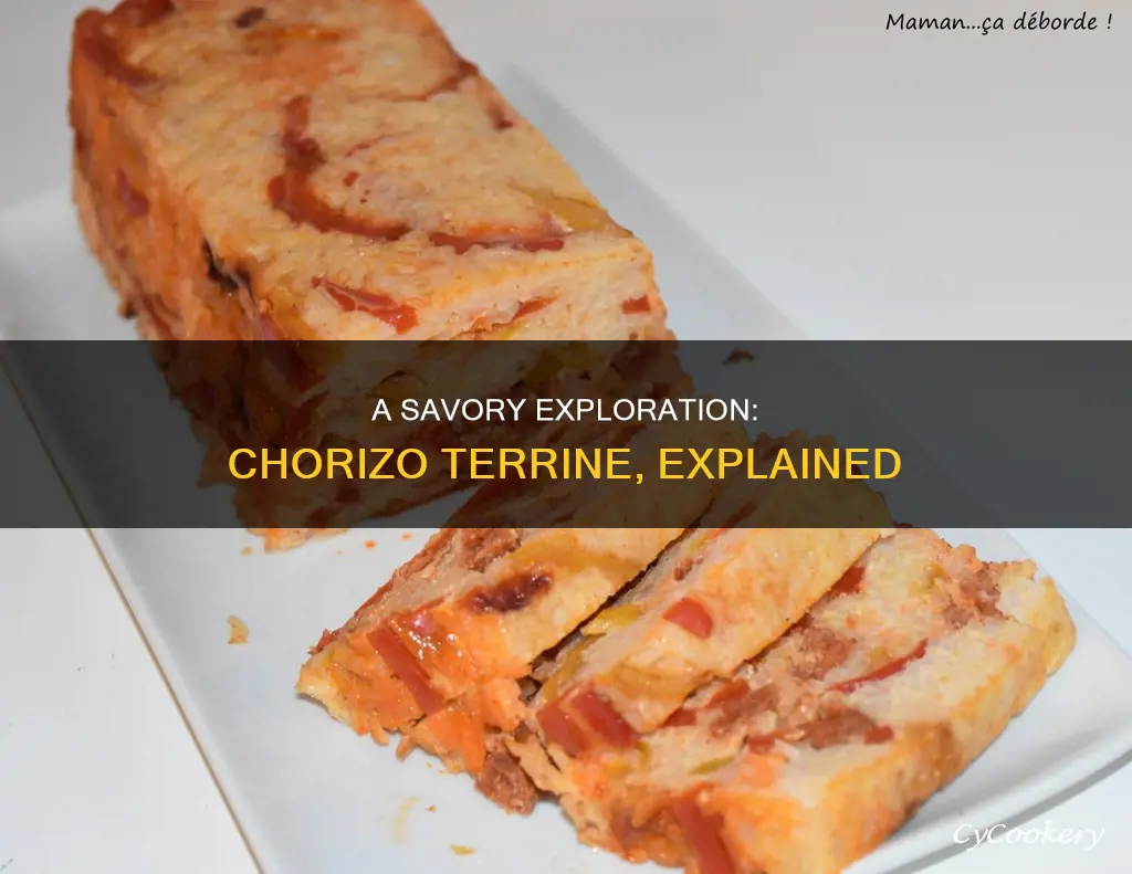 what is chorizo terrine