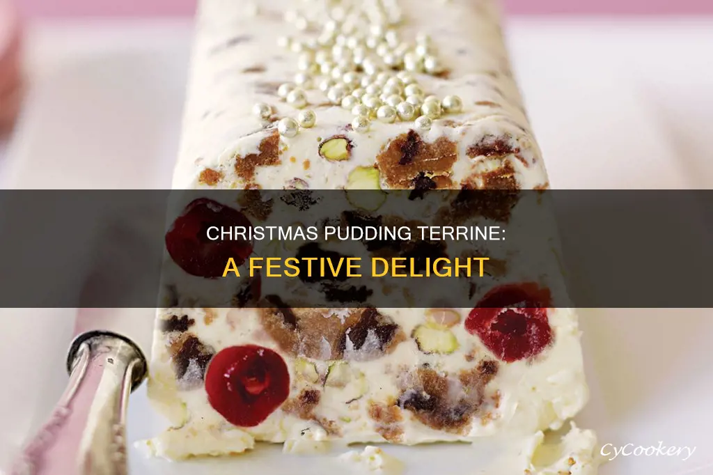 what is christmas pudding terrine