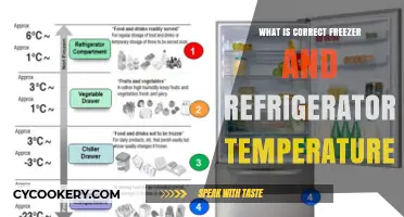 Optimal Food Safety: Correct Freezer and Refrigerator Temperature Guide