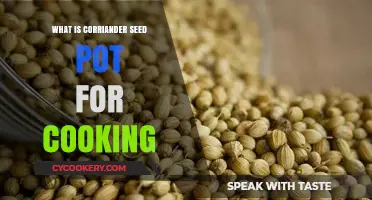 Discover the Culinary Magic of Coriander Seed Pot in Cooking