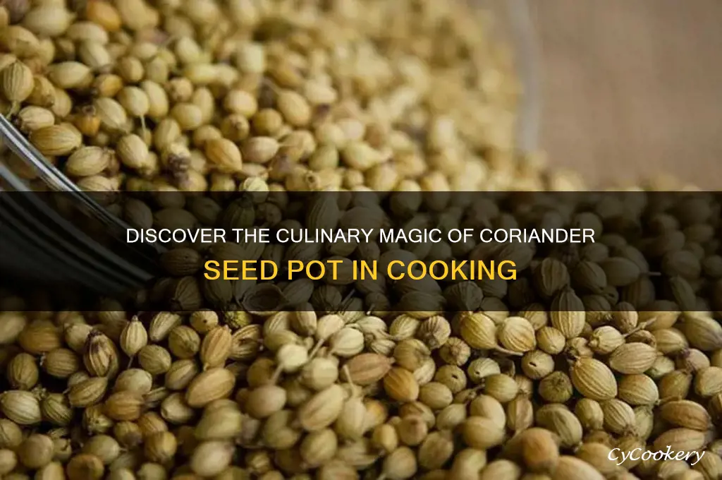 what is corriander seed pot for cooking