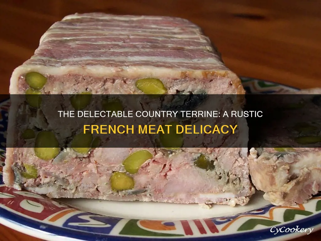 what is country terrine