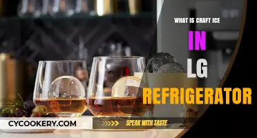 Understanding LG Refrigerator's Craft Ice Feature: A Complete Guide