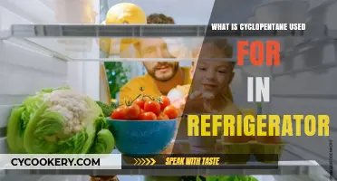 Cyclopentane in Refrigerators: Eco-Friendly Insulation and Efficiency Explained