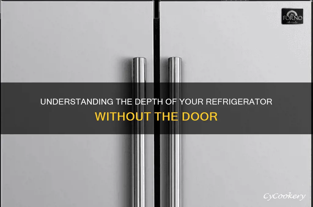what is depth of refrigerator without door