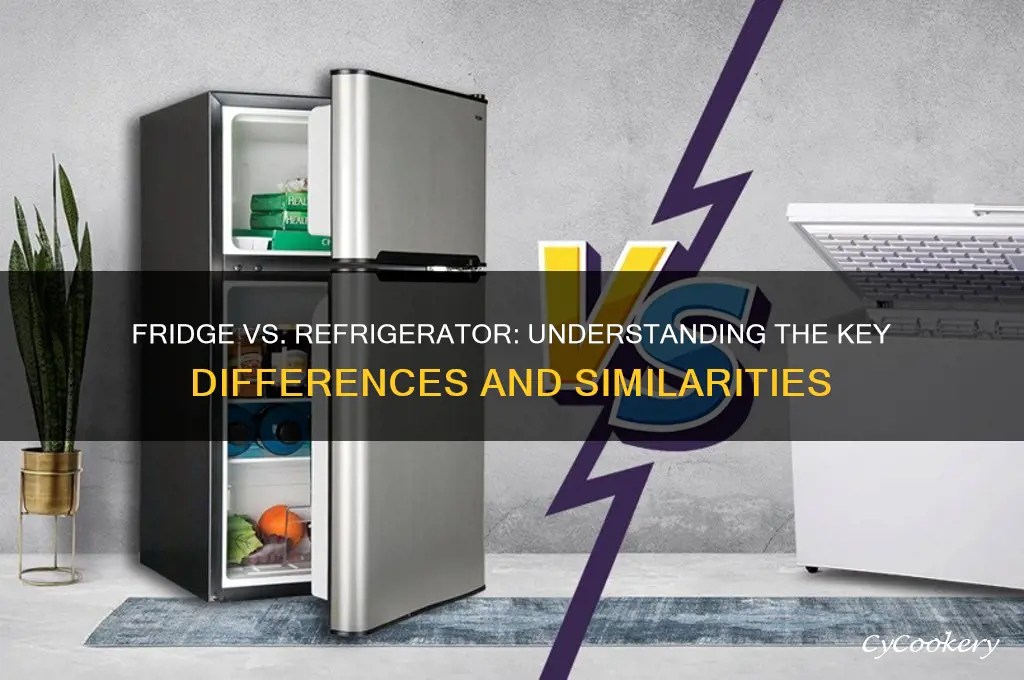 what is difference between fridge and refrigerator