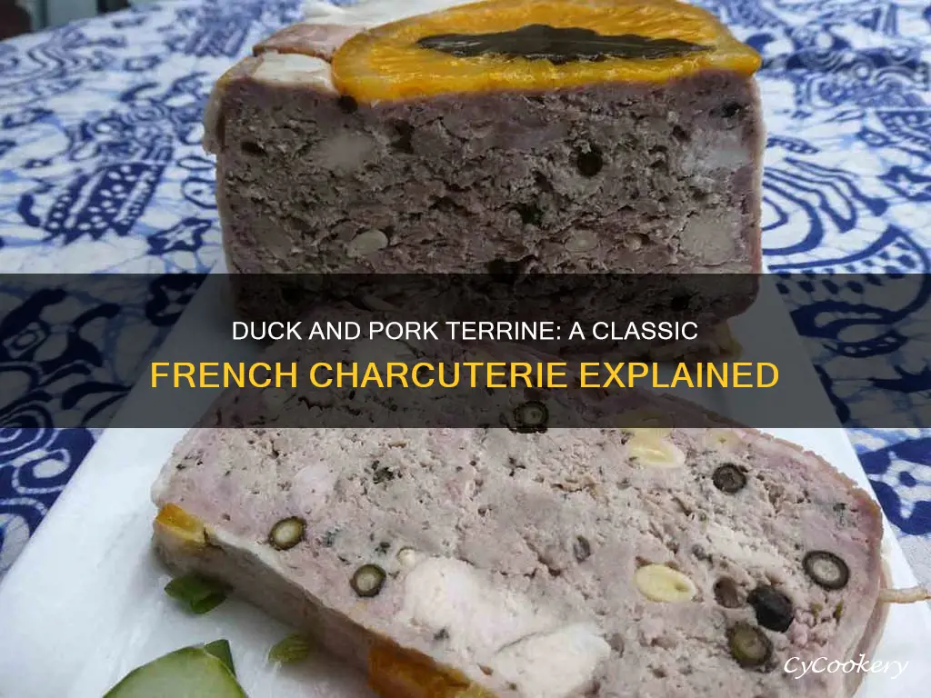 what is duck and pork terrine