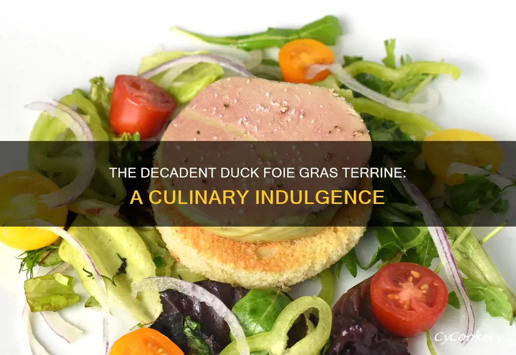 what is duck foie gras terrine