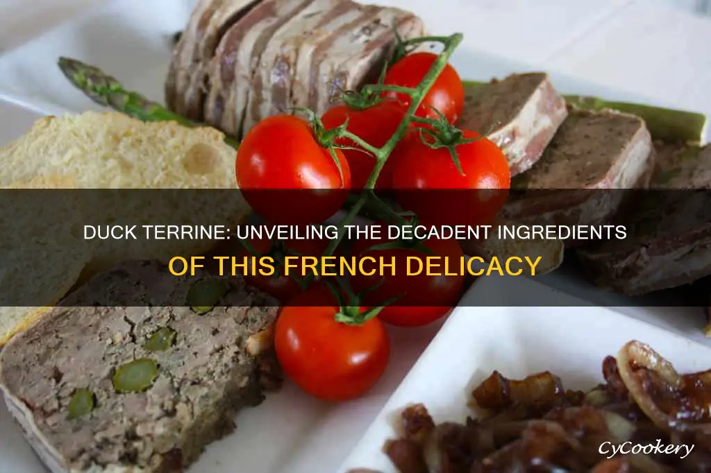 what is duck terrine made of