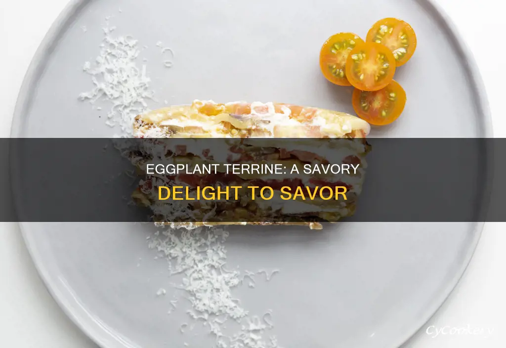 what is eggplant terrine