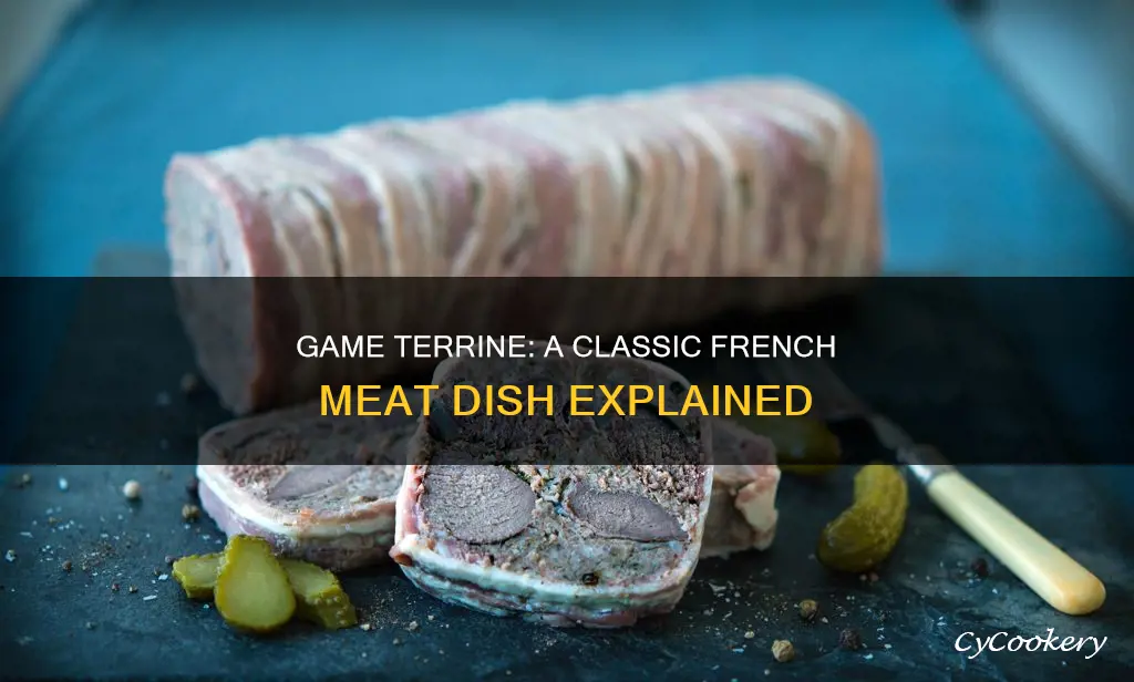 what is game terrine