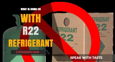 R22 Refrigerant Phase-Out: What's Happening and What You Need to Know