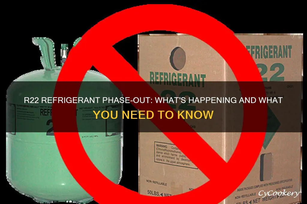 what is going on with r22 refrigerant